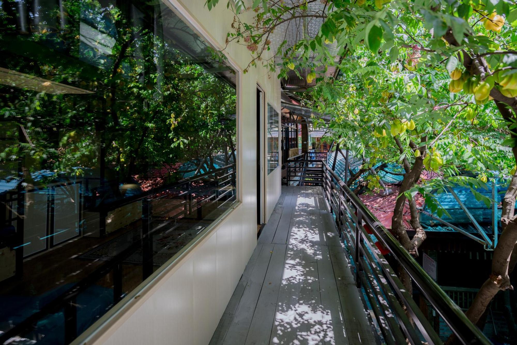 City Garden Hostel Ninh Binh Buitenkant foto